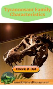 tyrannosaurus-family-characteristics