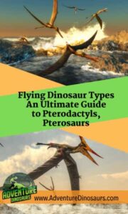 Flying-Dinosaur-Types-Ultimate-Guide-to-Pterodactyls-AdventureDinosaurs
