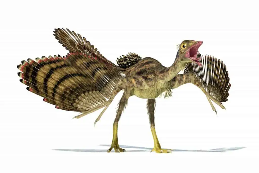artist depiction of an archaeopteryx_adventuredinosaurs