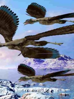 archaepteryx were skilled flyers - adventuredinosaurs