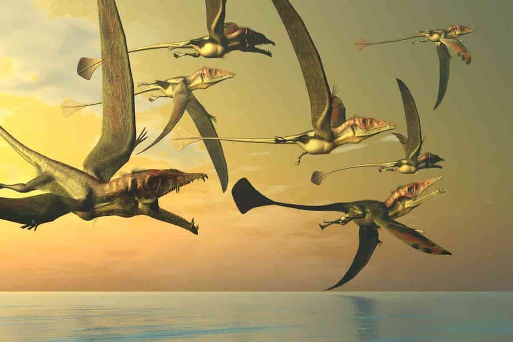 Pterosaur types flying in a group - AdventureDinosaurs