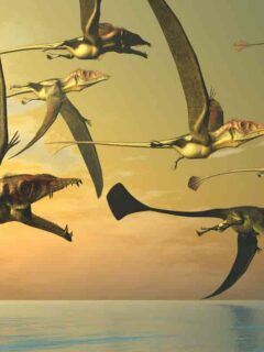 Pterosaur types flying in a group - AdventureDinosaurs
