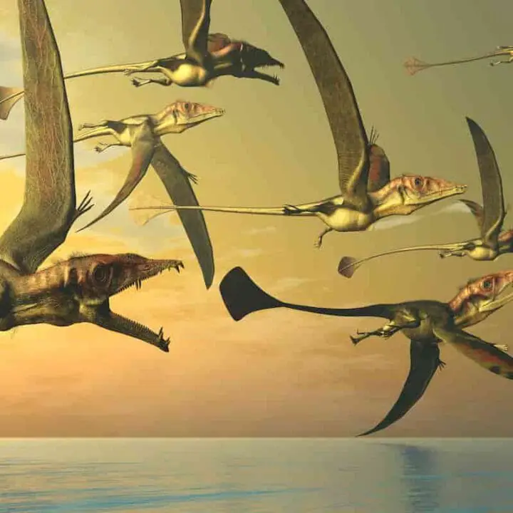 how-many-types-of-flying-dinosaurs-are-there-adventure-dinosaurs