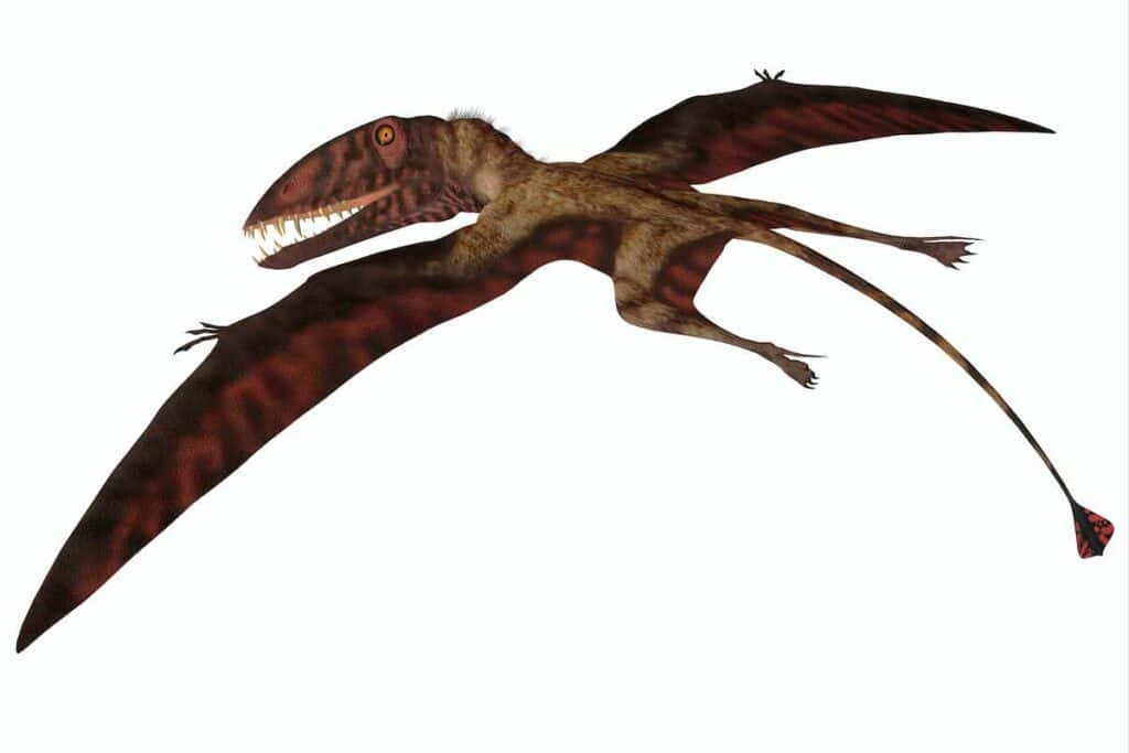 a pterodactyl had up to 90 teeth - AdventureDinosaurs