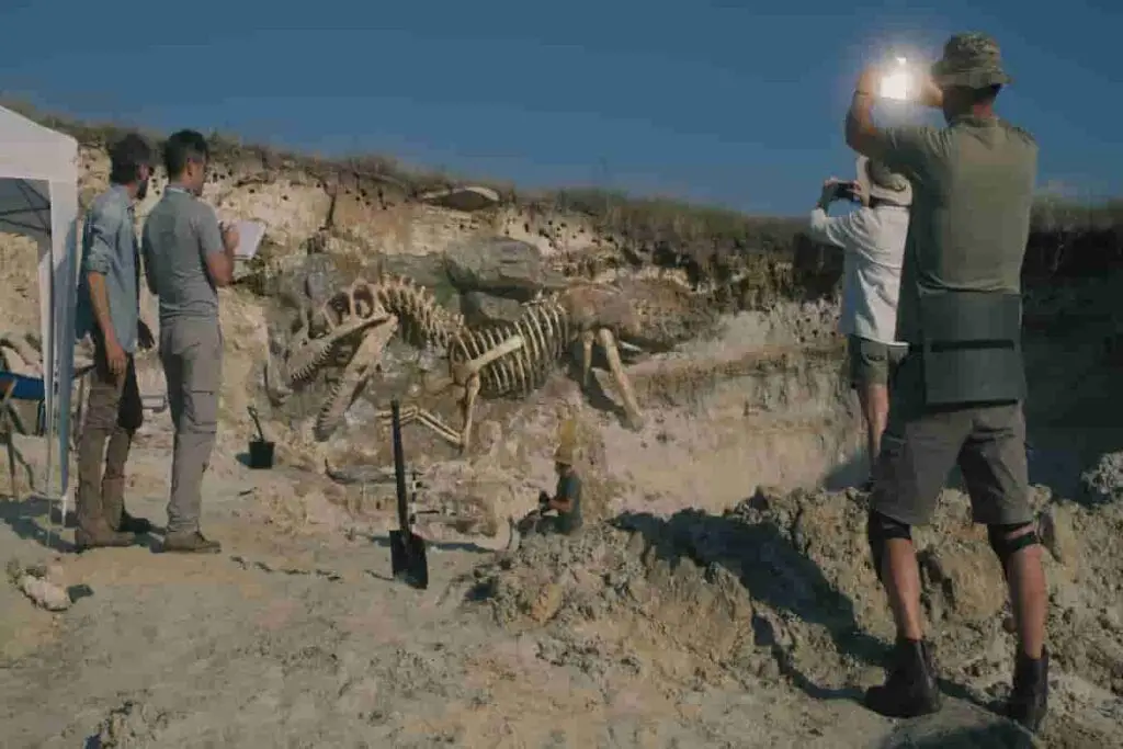 Digging dinosaur bones out of the ground