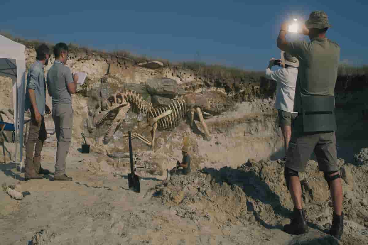 How Deep Are Dinosaur Fossils Found? The Surprising Depths Adventure