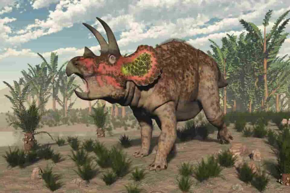 How Big Was A Triceratops? Mind-blowing Size Of Cretaceous Beast!