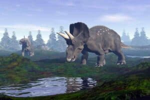 How big was a triceratops- surprising comparisons_Adventuredinosaurs
