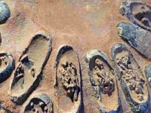 Dinosaur Eggs with Embryos Still Inside_AdventureDinosaurs
