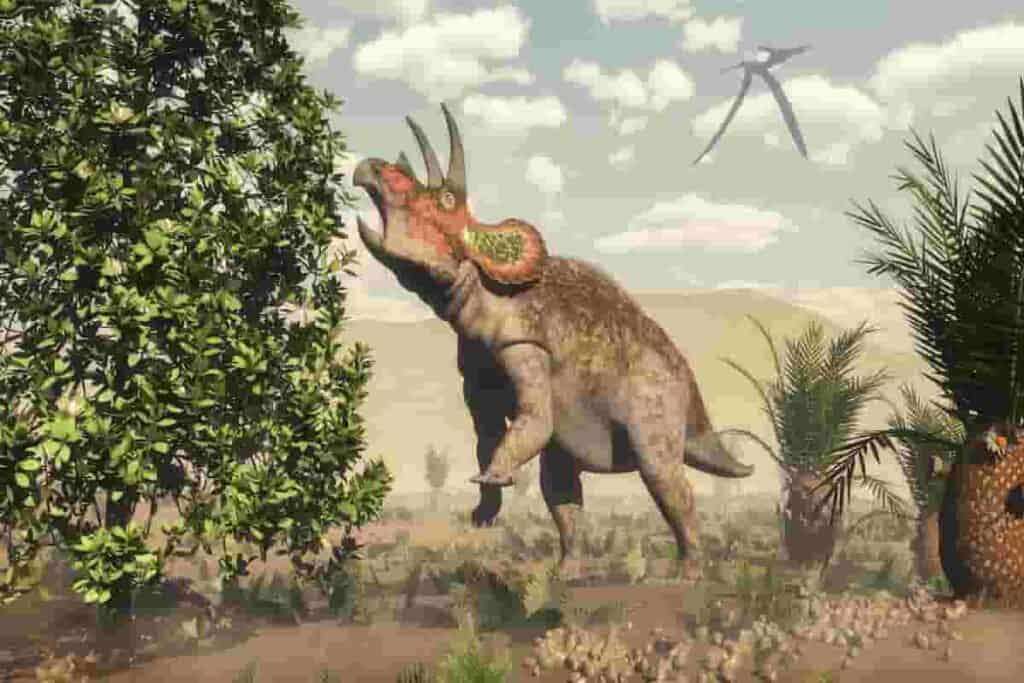 what does a triceratops eat_AdventureDinosaurs