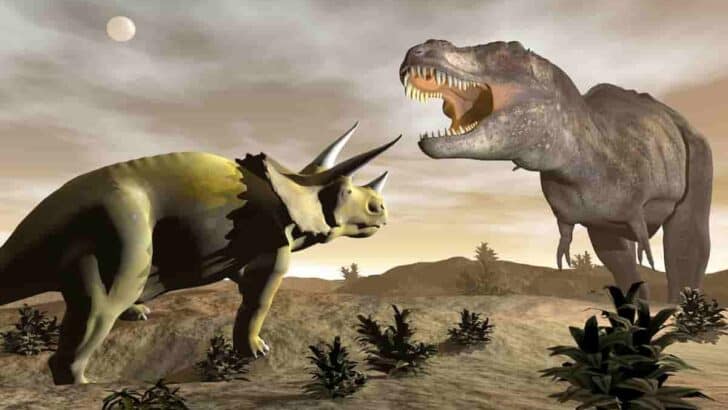 How Strong Is a Triceratops? Comparisons Plus Key Strength Measurements