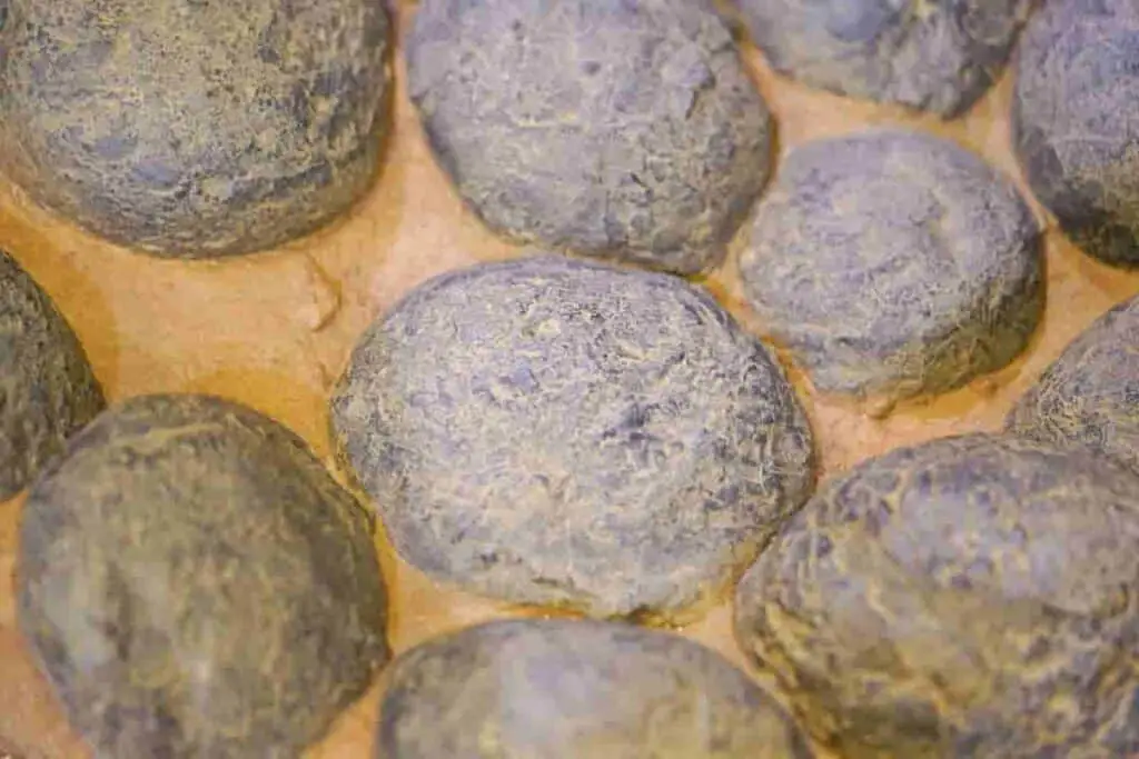 dinosaur eggs in a nest that are blueish in color in orange sand, 2023's Price Tag How Much Would A Real Dinosaur Egg Worth Now, value dinosaur egg, dinosaur egg cost, price of dinosaur egg, value fossilized dinosaur egg, real dinosaur eggs, price of dinosaur eggs