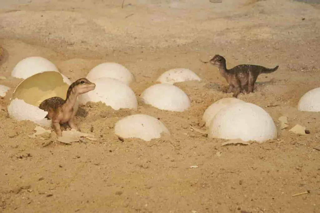 dinosaur eggs with sauropod hatchling babies, How Much Would A Real Dinosaur Egg Be Worth? Surprising 2024 Prices