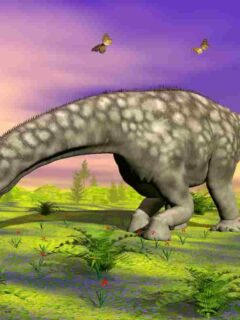 What is the Smallest Sauropod? Surprising Facts About the Small Sauropods