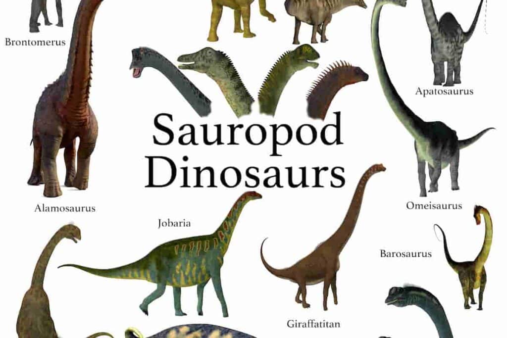 There are many different types of sauropods and the dwarf sauropods were located on island habitats