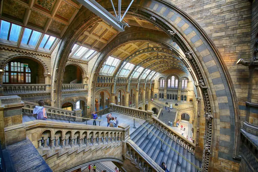 museum, london, dinosaur