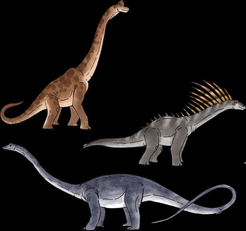 Most Common Dinosaur Groups - Dinosaur Types [Classification of Popular Dinosaurs Fossils]