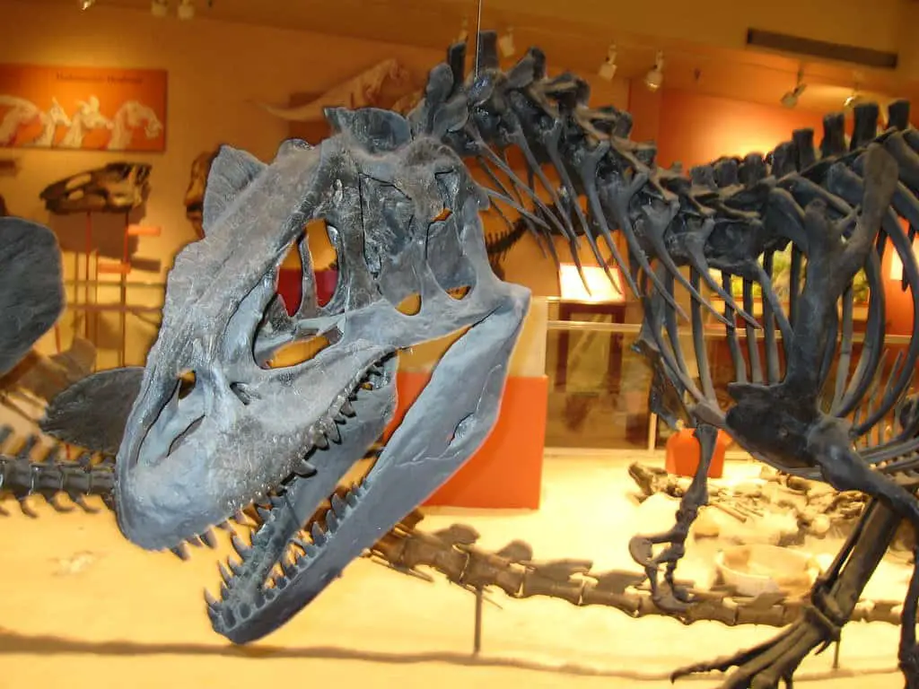 Best Dinosaur Museums in US: Ultimate Fossil Exhibits