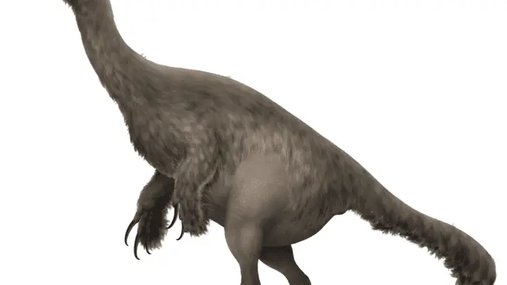 What Dinosaurs Lived In Japan? Surprising Fossil Finds