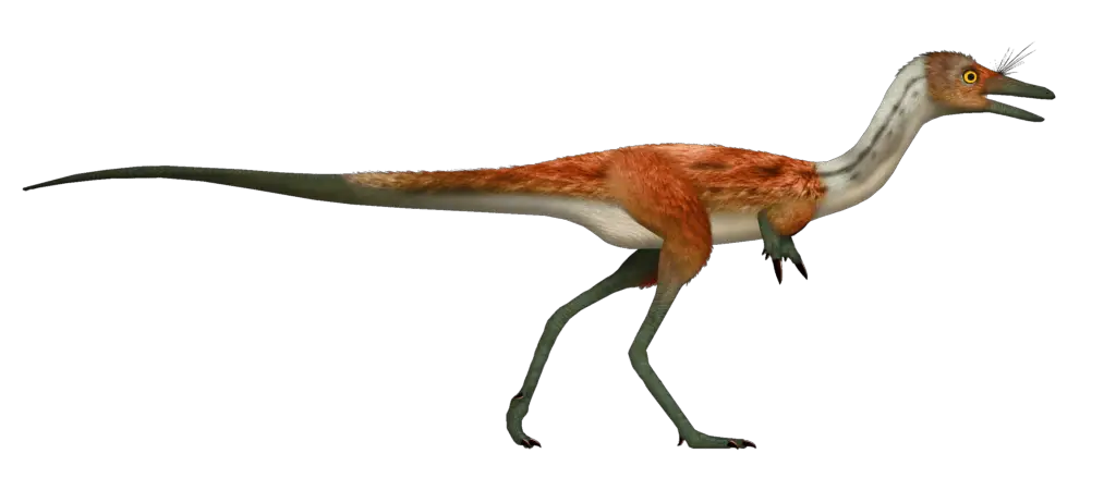 What Bird Is Most Closely Related To Dinosaurs? Surprising Connection [Plus Origin!]