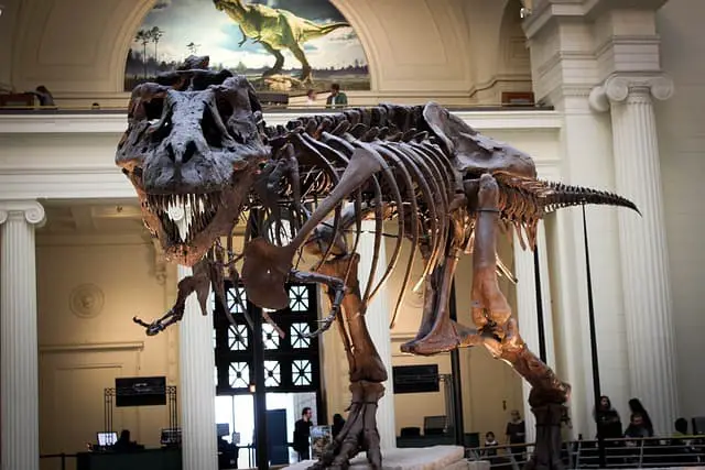paleontology news